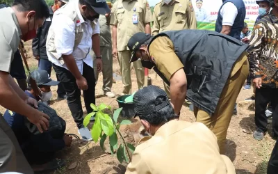Tingkatkan Potensi Desa Wakah, Bupati Ngawi Tanam Buah Alpukat Kendil