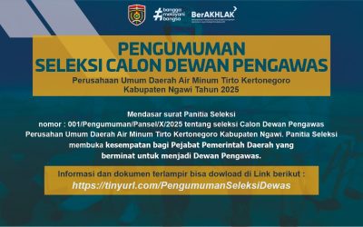 Pengumuman Seleksi Dewan Pengawas Perumda Air Minum Tirto Kertonegoro Kabupaten Ngawi