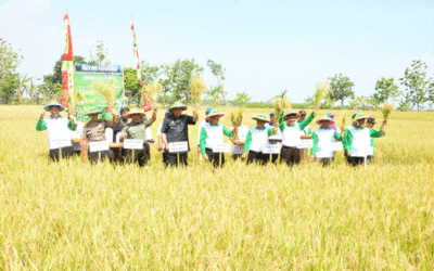 Pj Bupati Ngawi Dampingi Menristek Panen Raya Padi Organik
