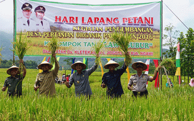 Bupati Budi Sulistyono Panen Padi Organik di Ds. Kletekan Kec. Jogorogo